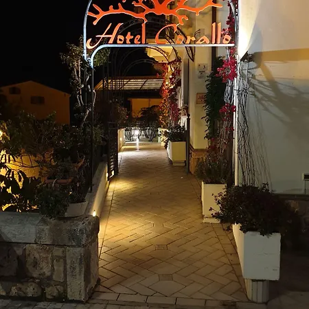 Corallo (adults Only) سبرلونغا