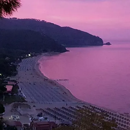 Corallo (adults Only)