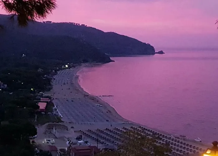 Corallo (adults Only)