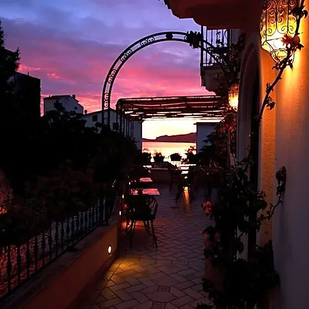 Corallo (adults Only) 3*